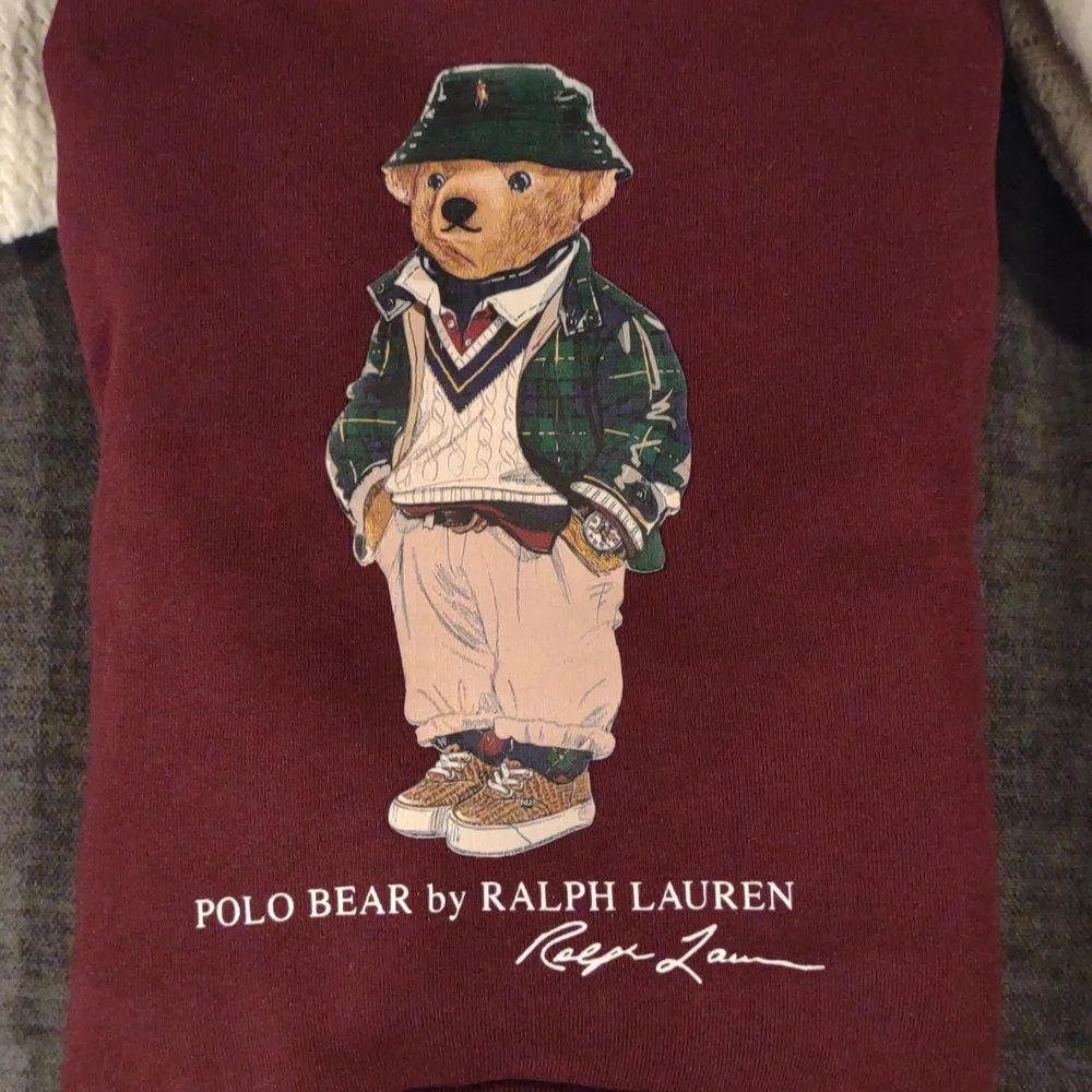 NWT Polo by Ralph Lauren Kids 4 Toddler Hoodie with Bear Design‎